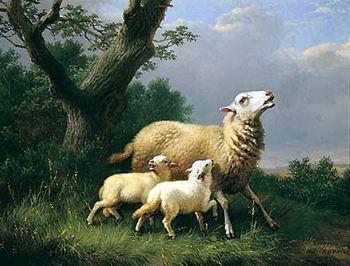 unknow artist Sheep 074 oil painting image